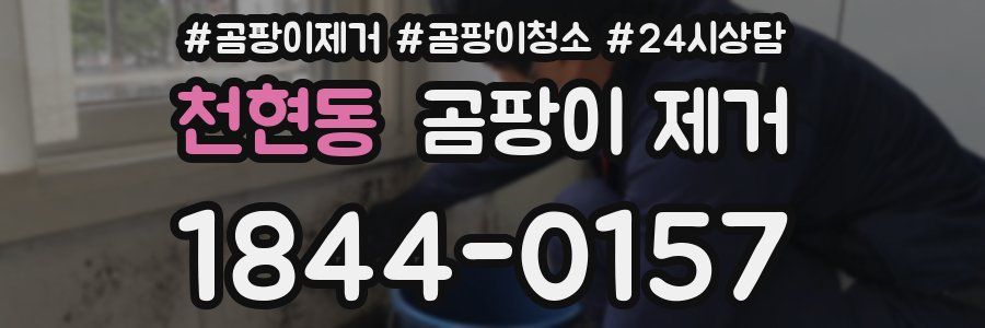 천현동 곰팡이 제거