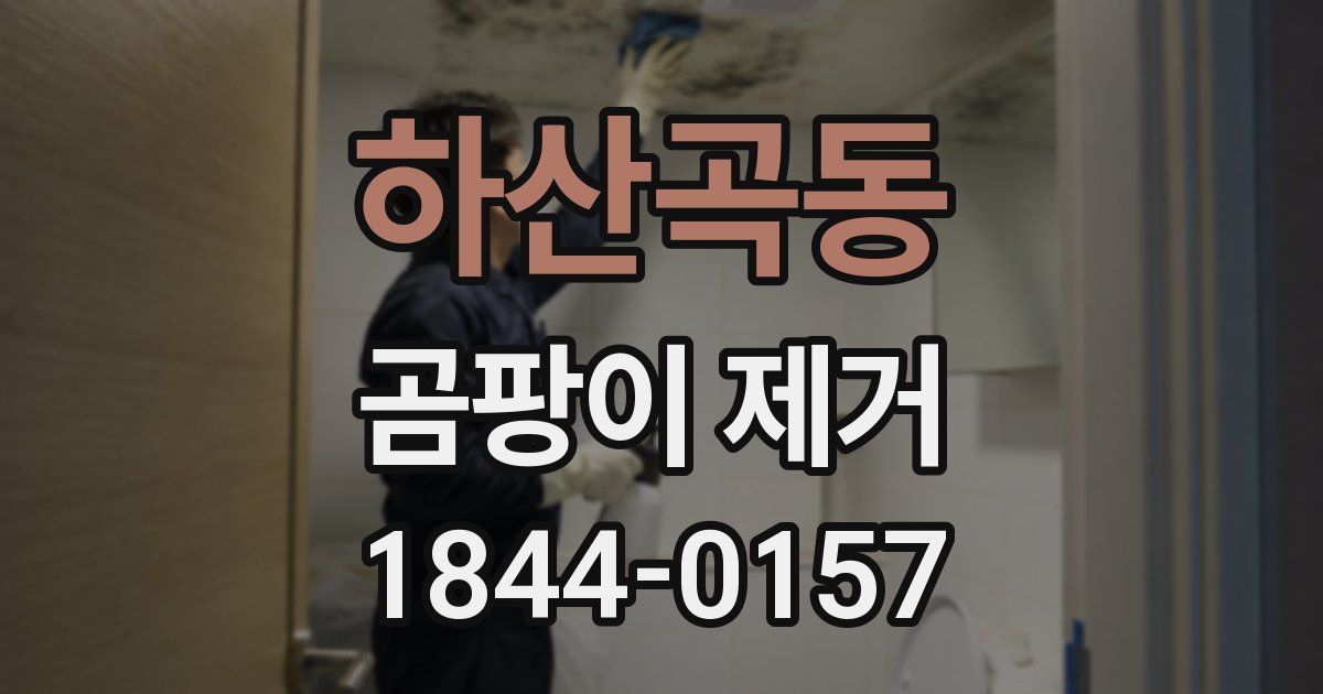 하산곡동 곰팡이 제거