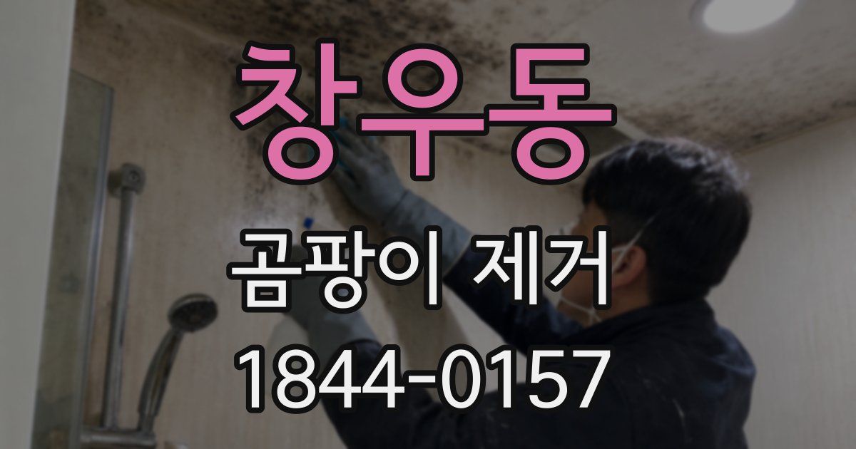 창우동 곰팡이 제거