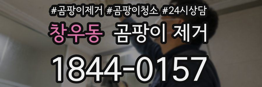 창우동 곰팡이 제거