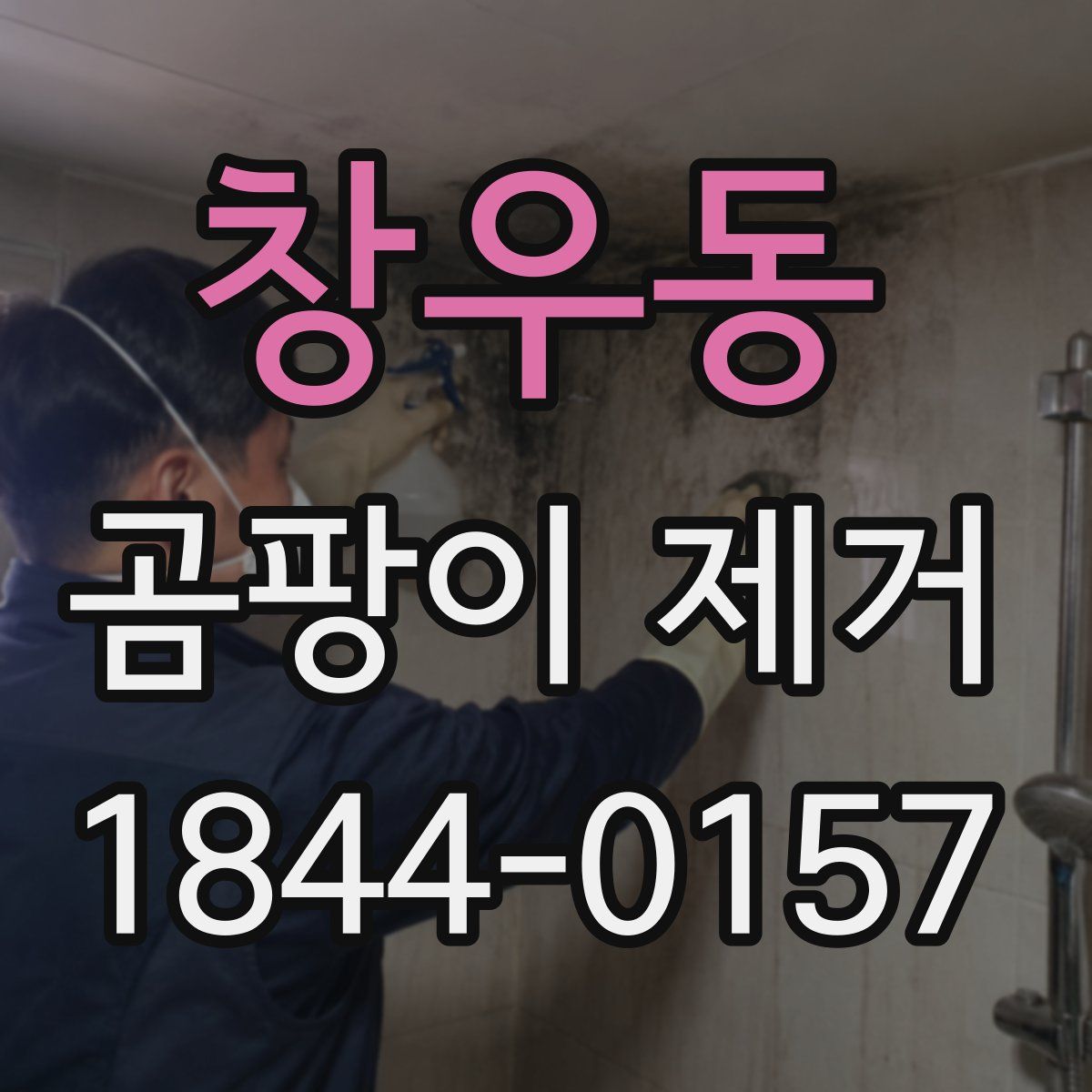 창우동 곰팡이 제거