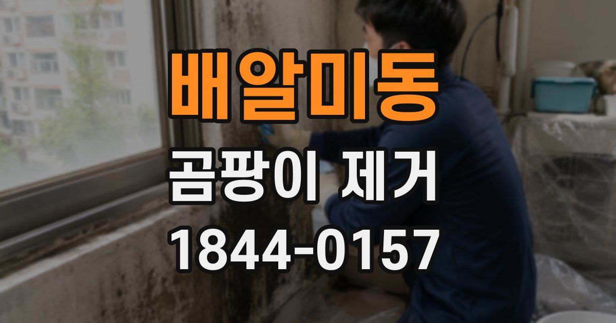 배알미동 곰팡이 제거