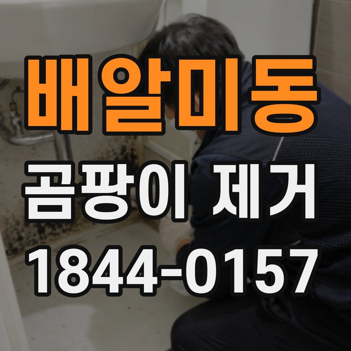 배알미동 곰팡이 제거