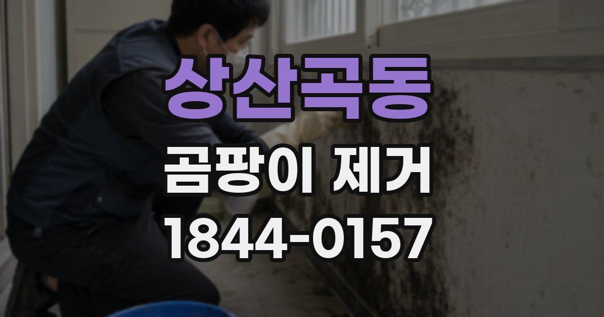 상산곡동 곰팡이 제거