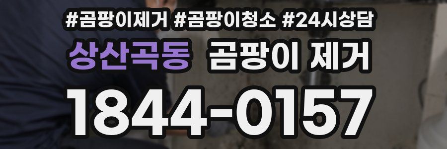 상산곡동 곰팡이 제거