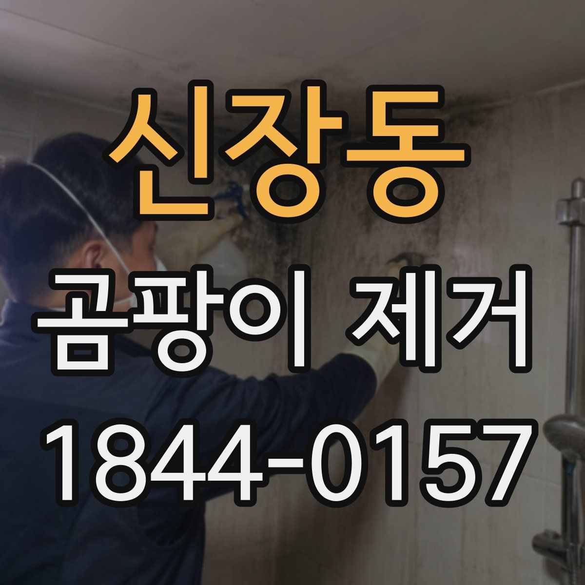 신장동 곰팡이 제거