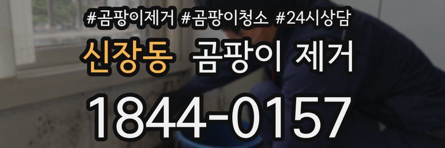 신장동 곰팡이 제거