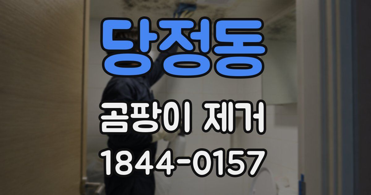 당정동 곰팡이 제거