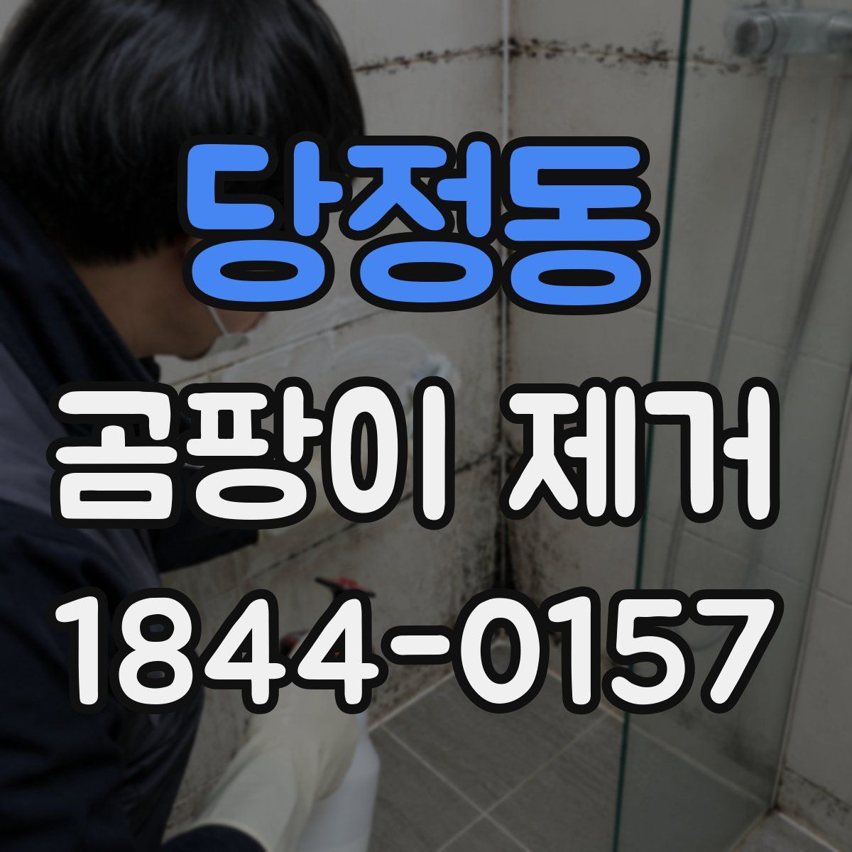 당정동 곰팡이 제거