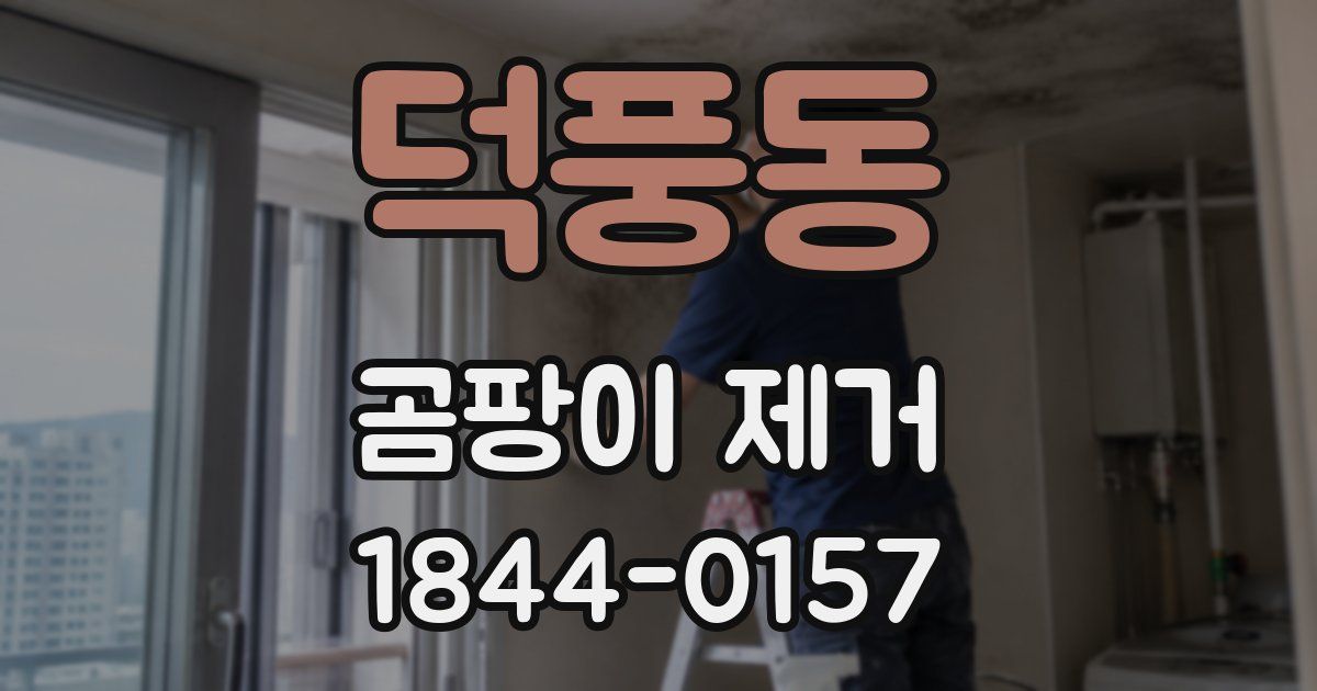 덕풍동 곰팡이 제거