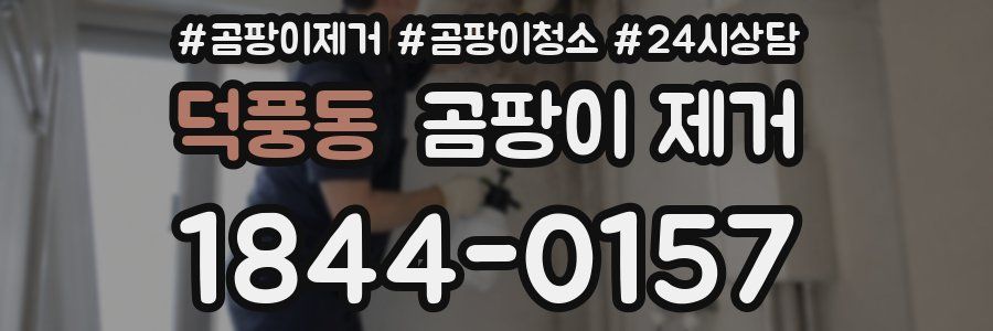 덕풍동 곰팡이 제거