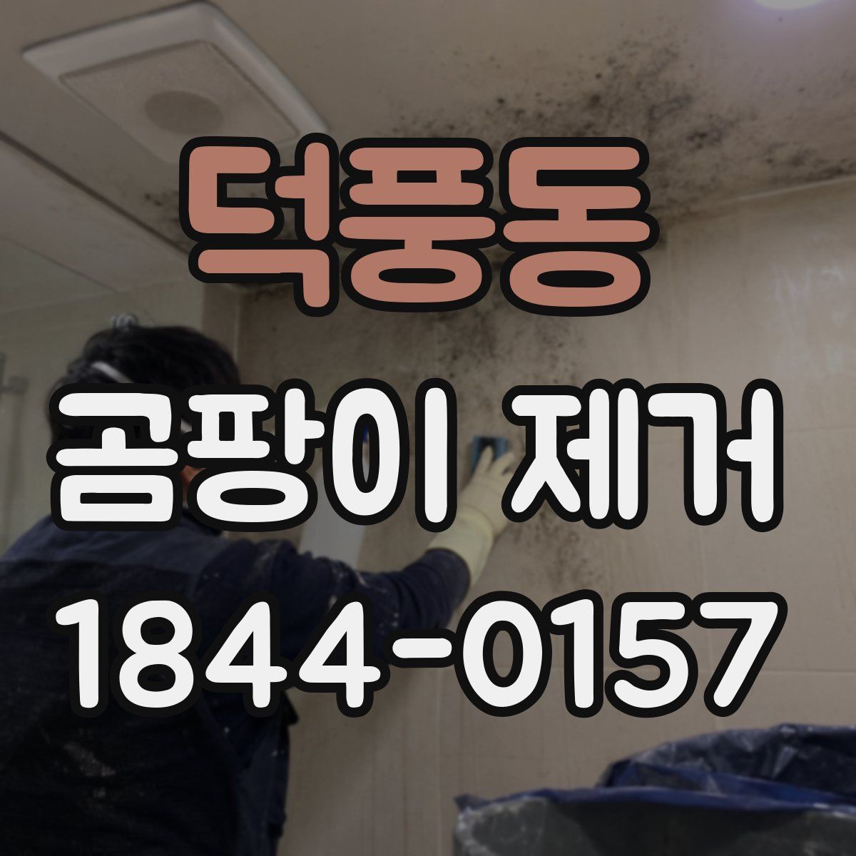 덕풍동 곰팡이 제거