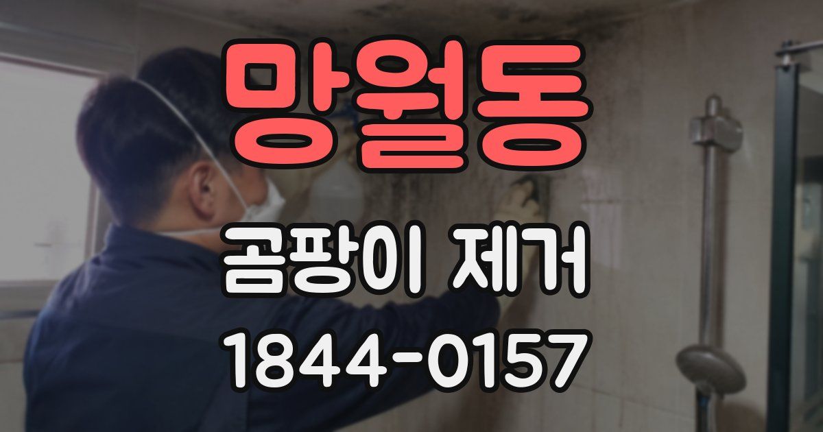 망월동 곰팡이 제거