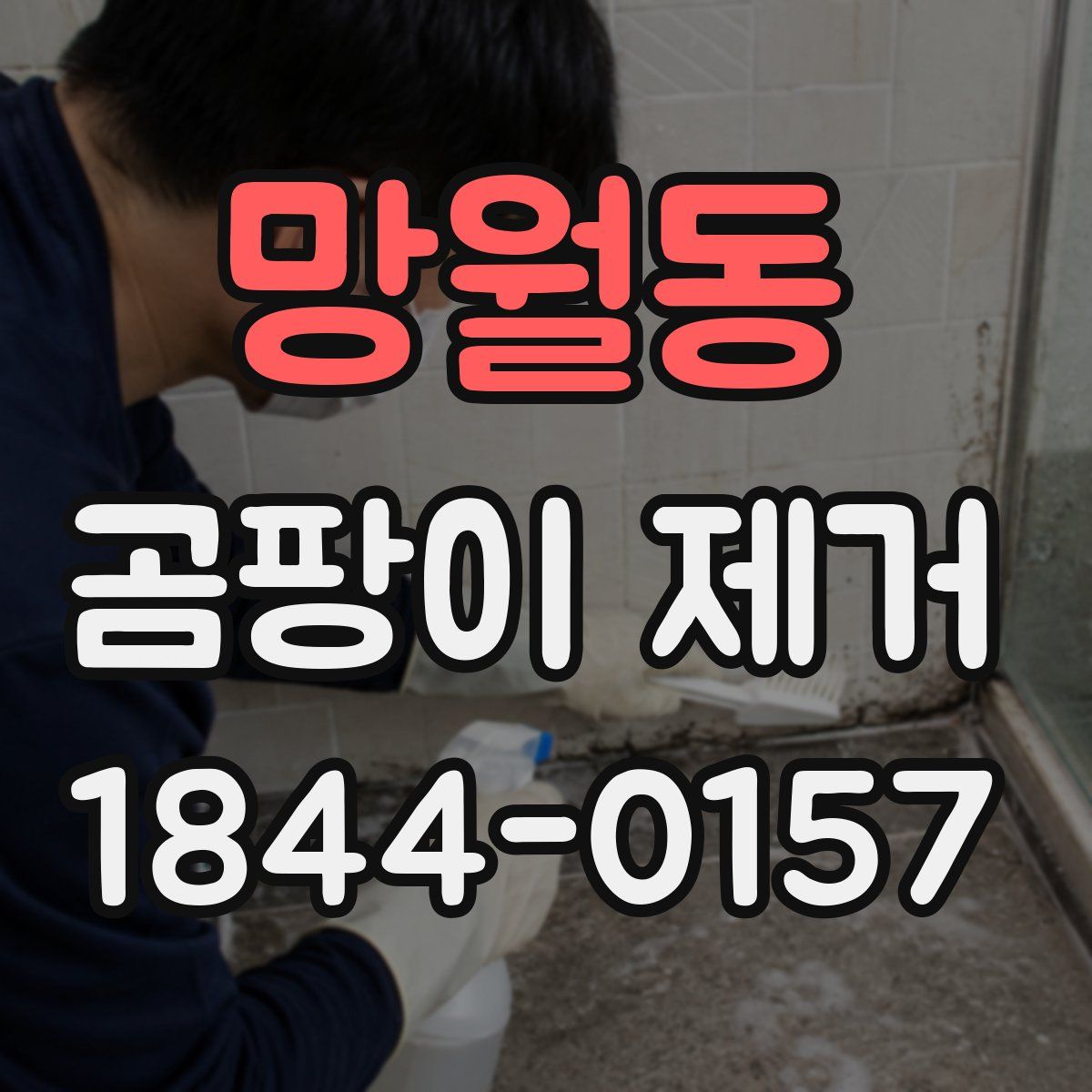 망월동 곰팡이 제거