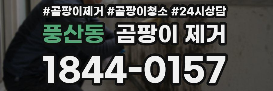 풍산동 곰팡이 제거