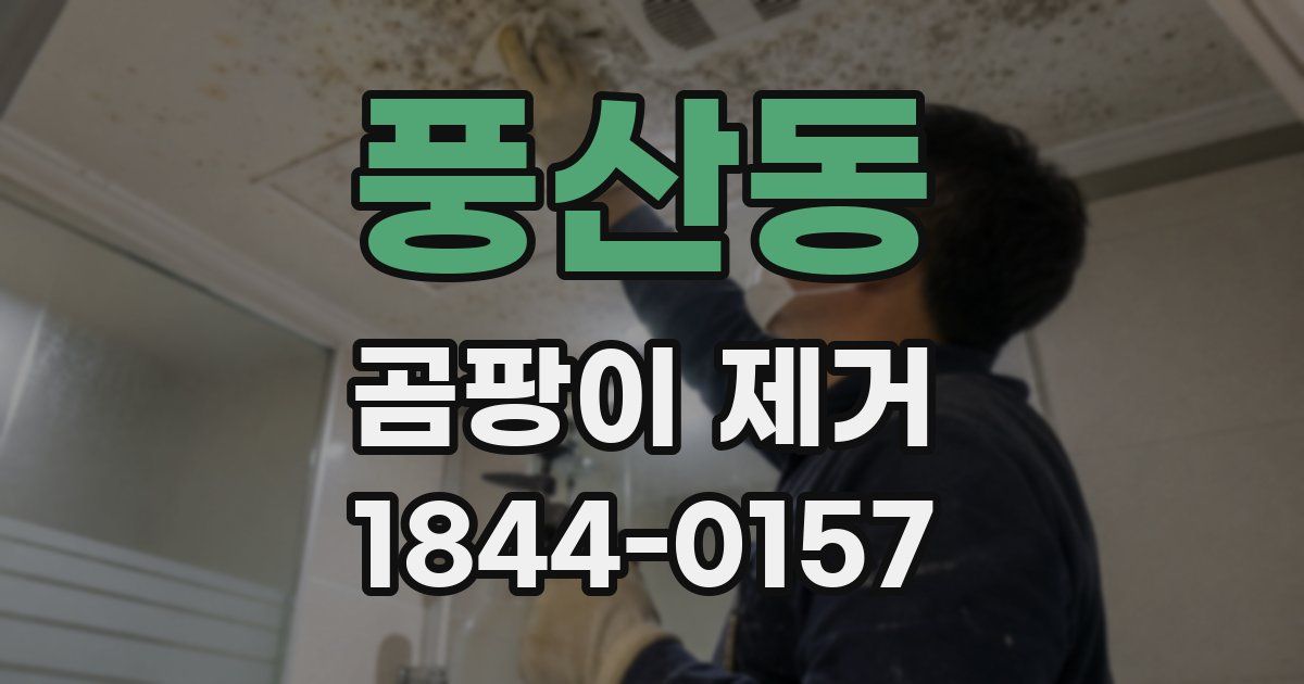풍산동 곰팡이 제거