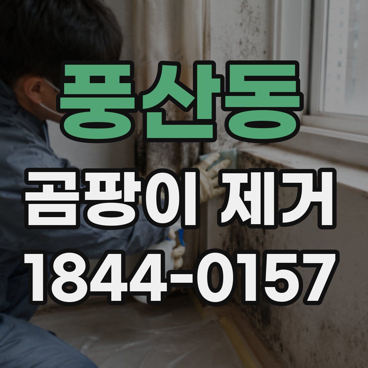 풍산동 곰팡이 제거
