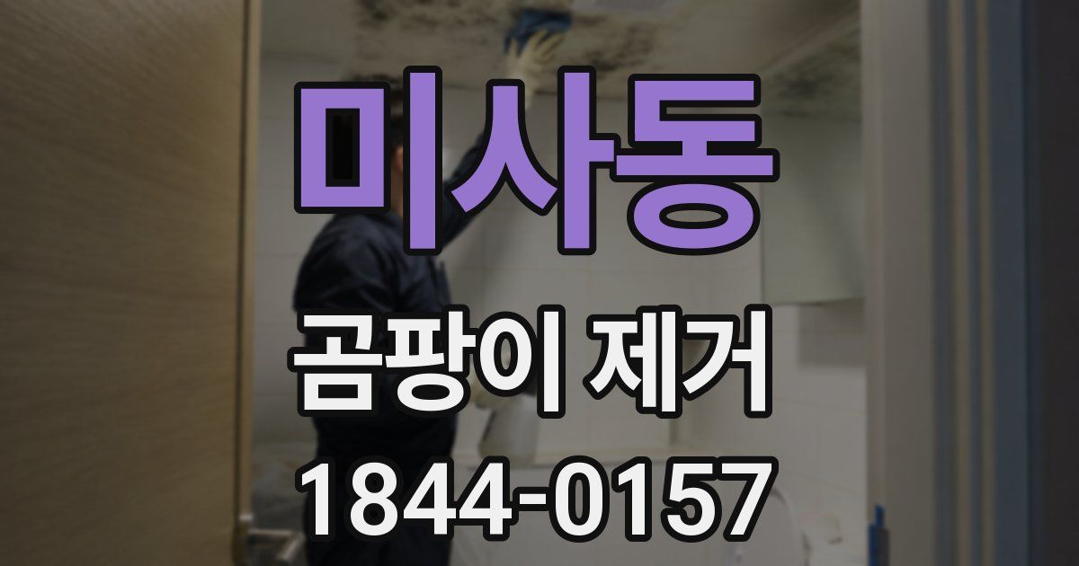 미사동 곰팡이 제거