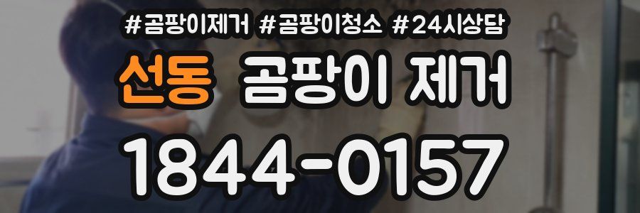 선동 곰팡이 제거