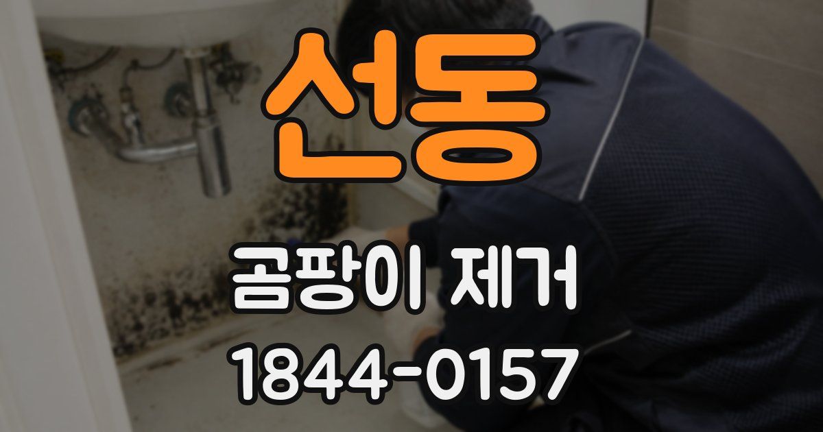 선동 곰팡이 제거