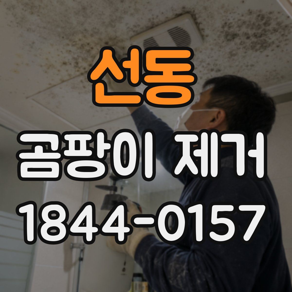 선동 곰팡이 제거