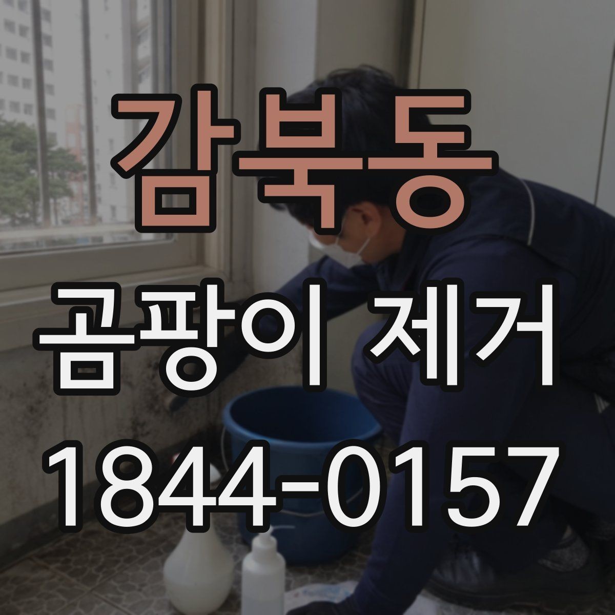 감북동 곰팡이 제거 얼룩이 남지 않게 마무리하는 방법