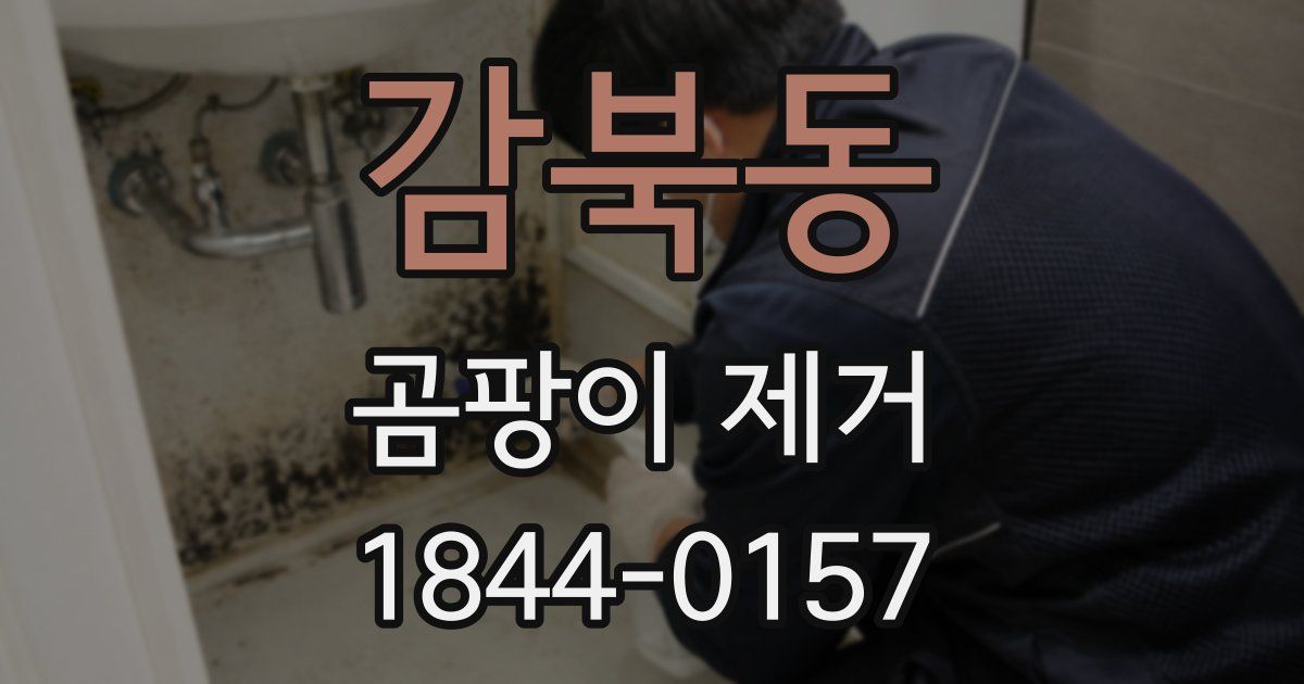 감북동 곰팡이 제거