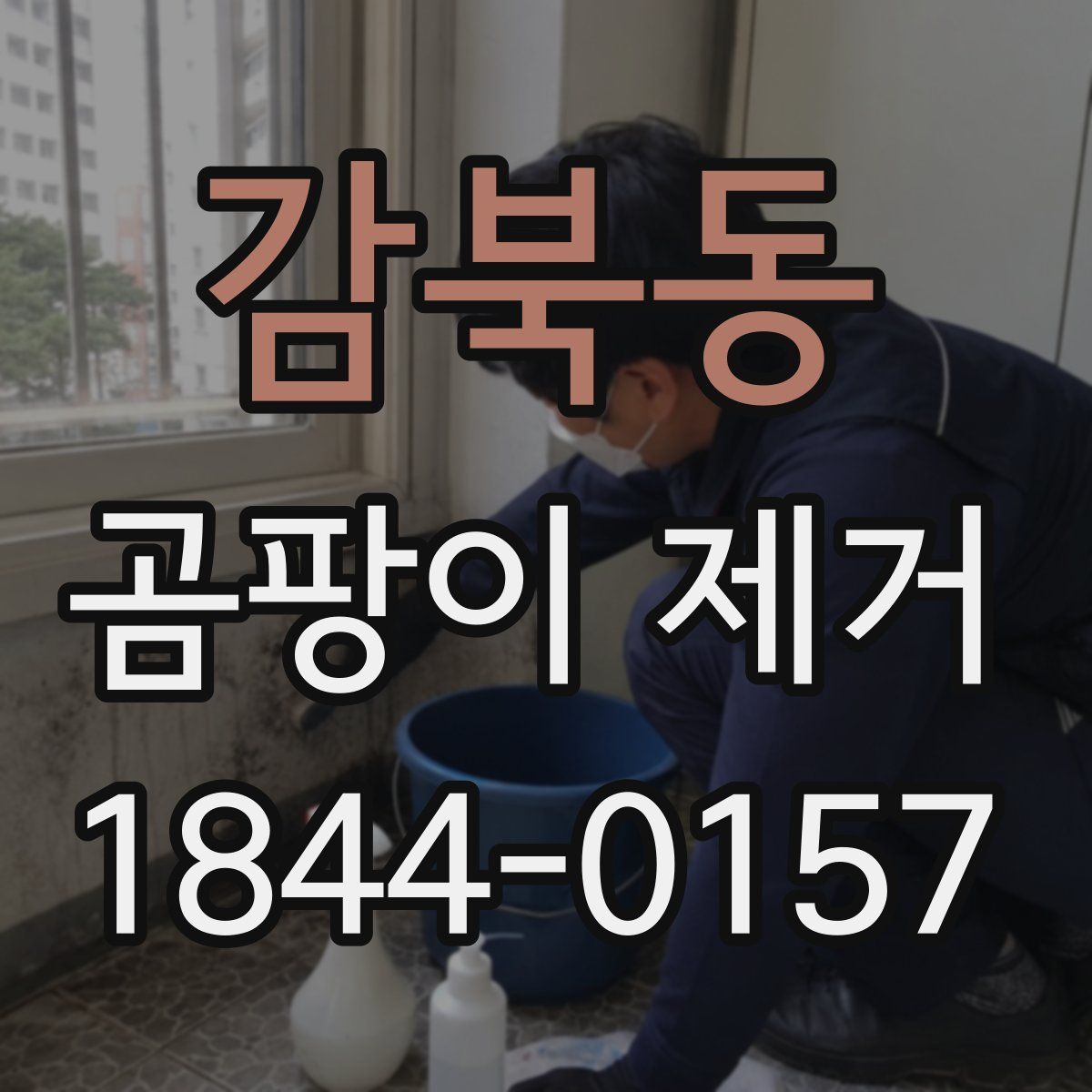감북동 곰팡이 제거