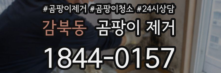 감북동 곰팡이 제거