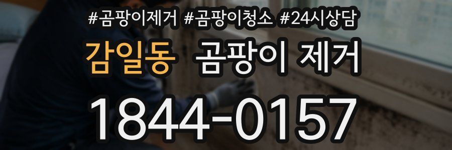 감일동 곰팡이 제거