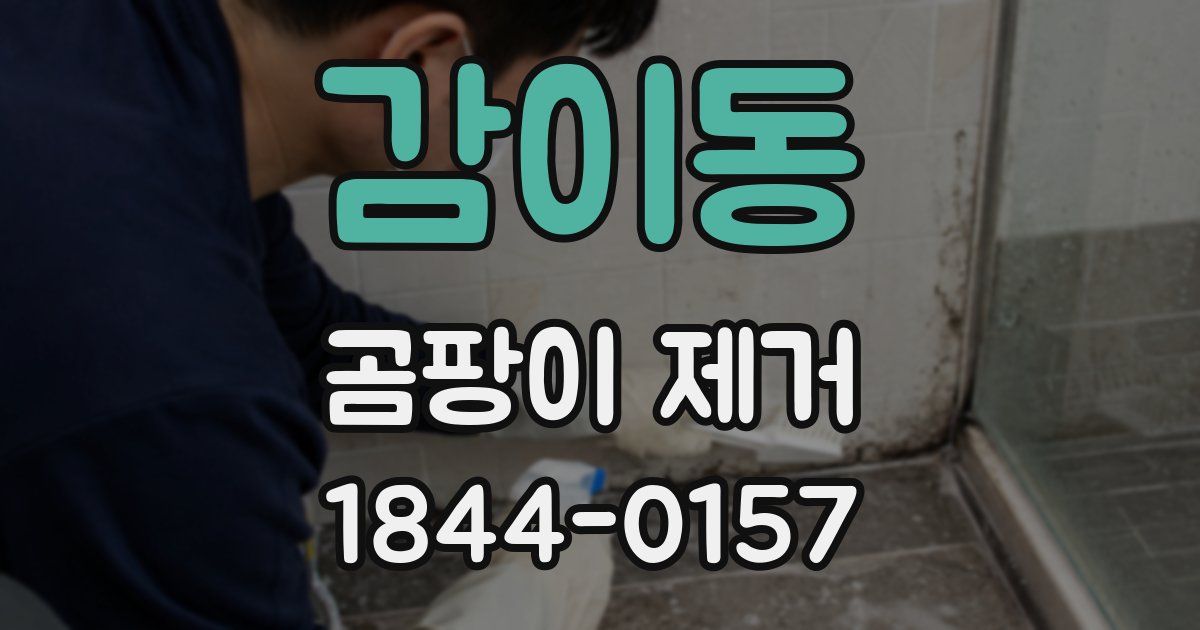 감이동 곰팡이 제거
