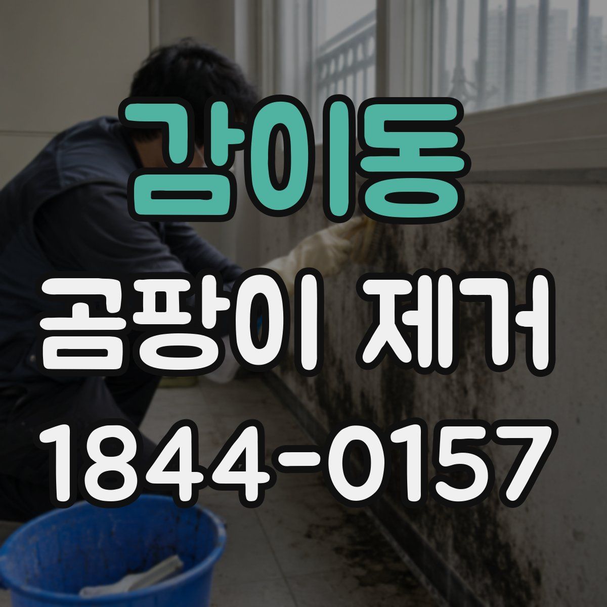 감이동 곰팡이 제거