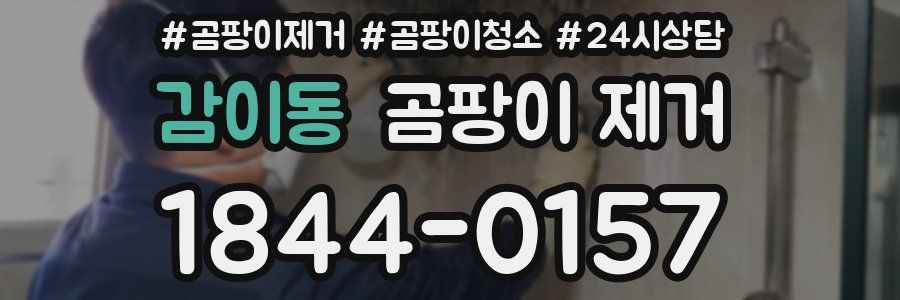 감이동 곰팡이 제거
