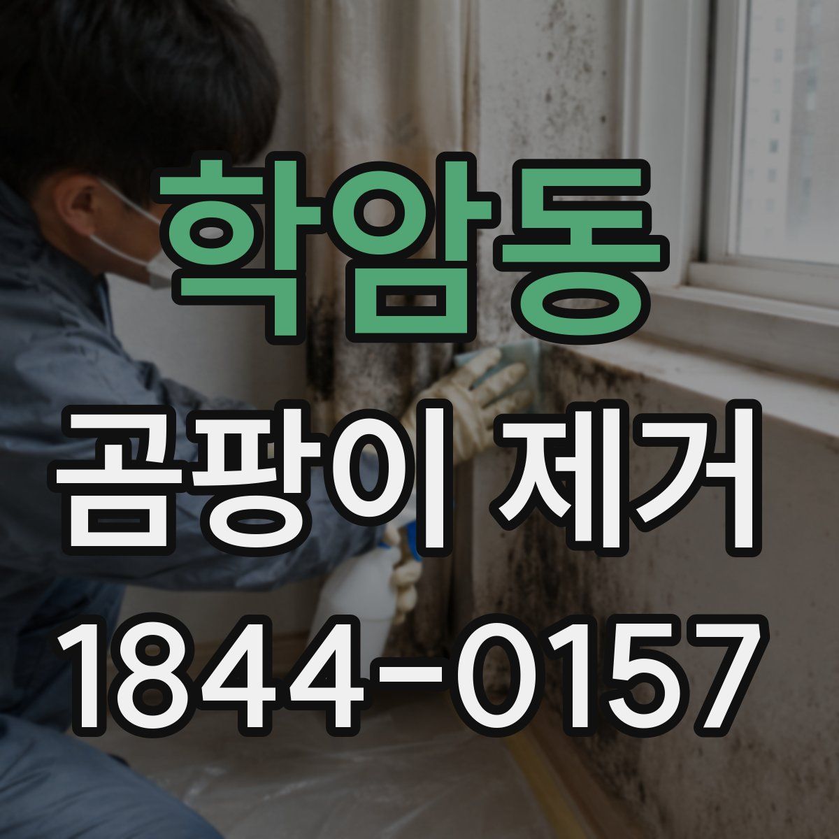 학암동 곰팡이 제거