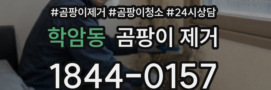 학암동 곰팡이 제거