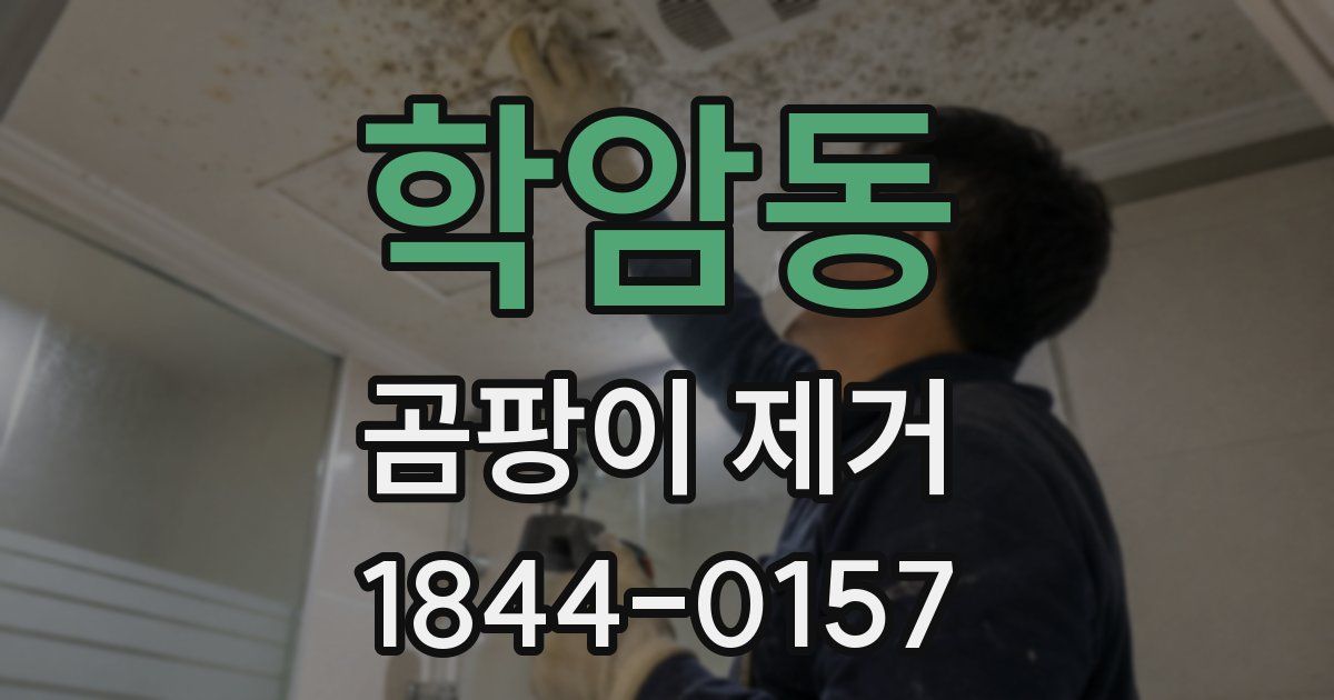 학암동 곰팡이 제거
