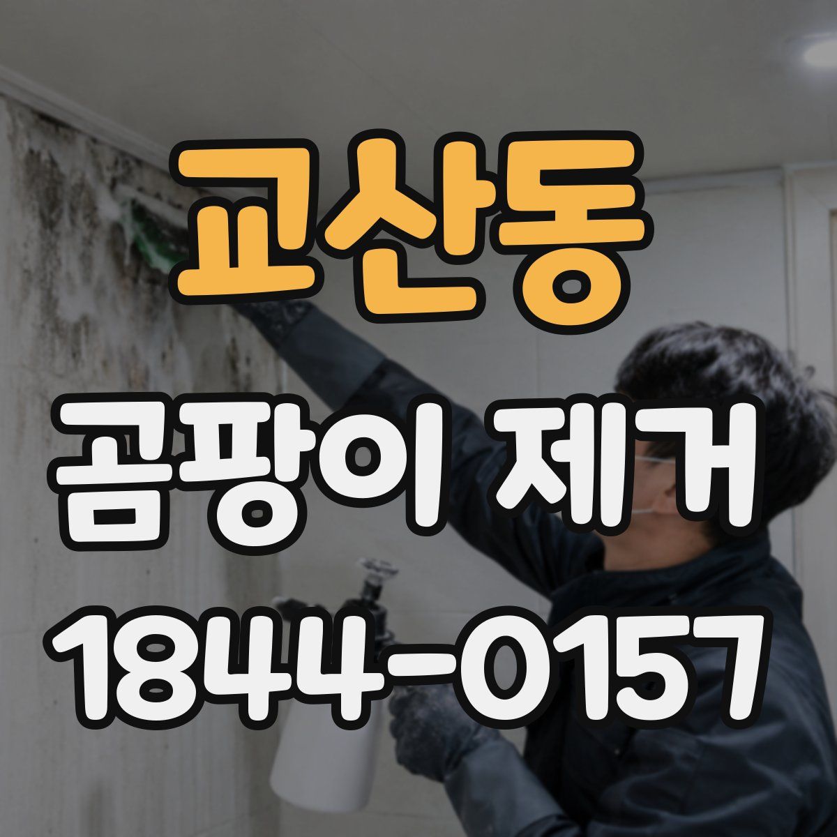 교산동 곰팡이 제거