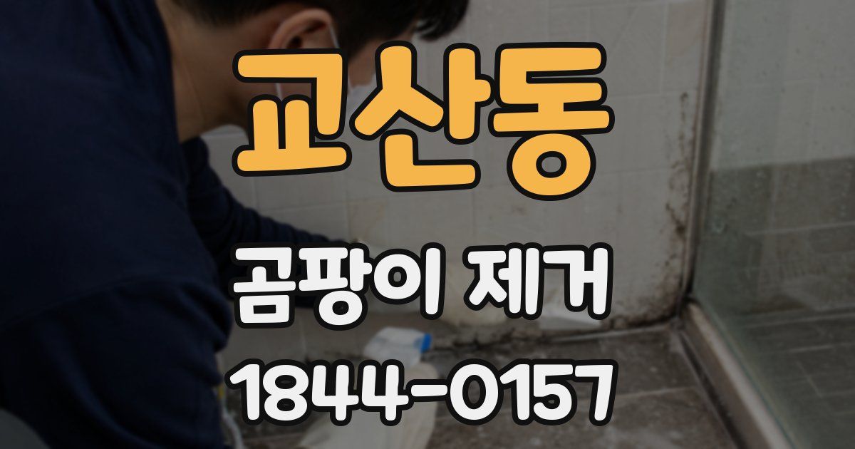 교산동 곰팡이 제거