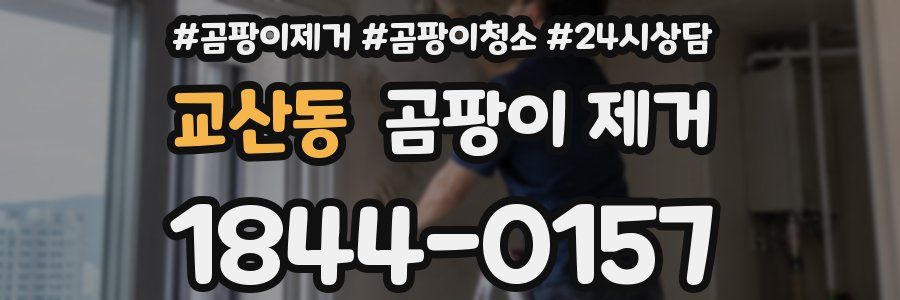 교산동 곰팡이 제거