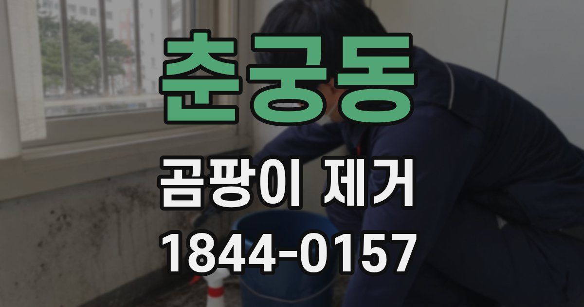 춘궁동 곰팡이 제거