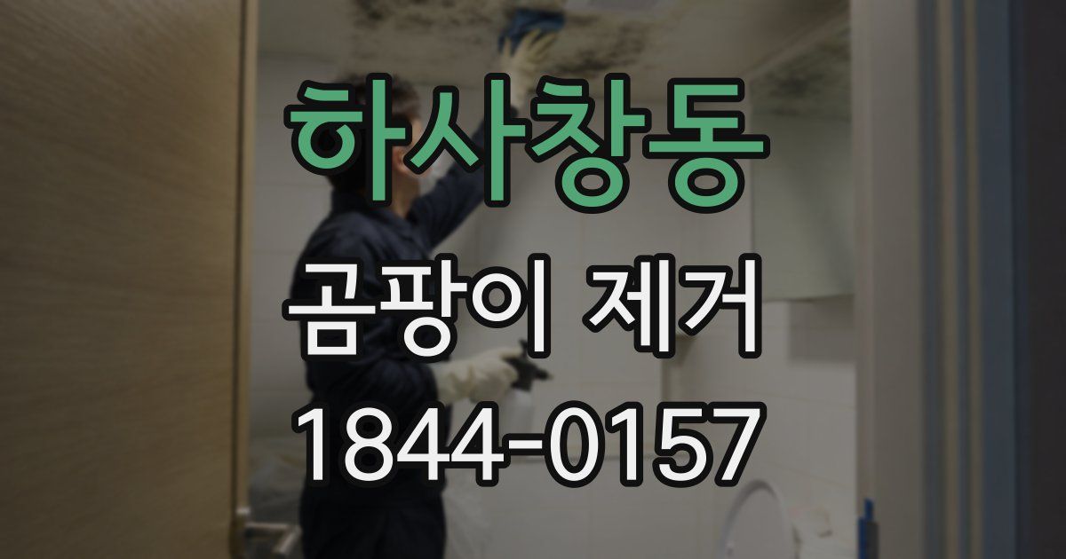 하사창동 곰팡이 제거