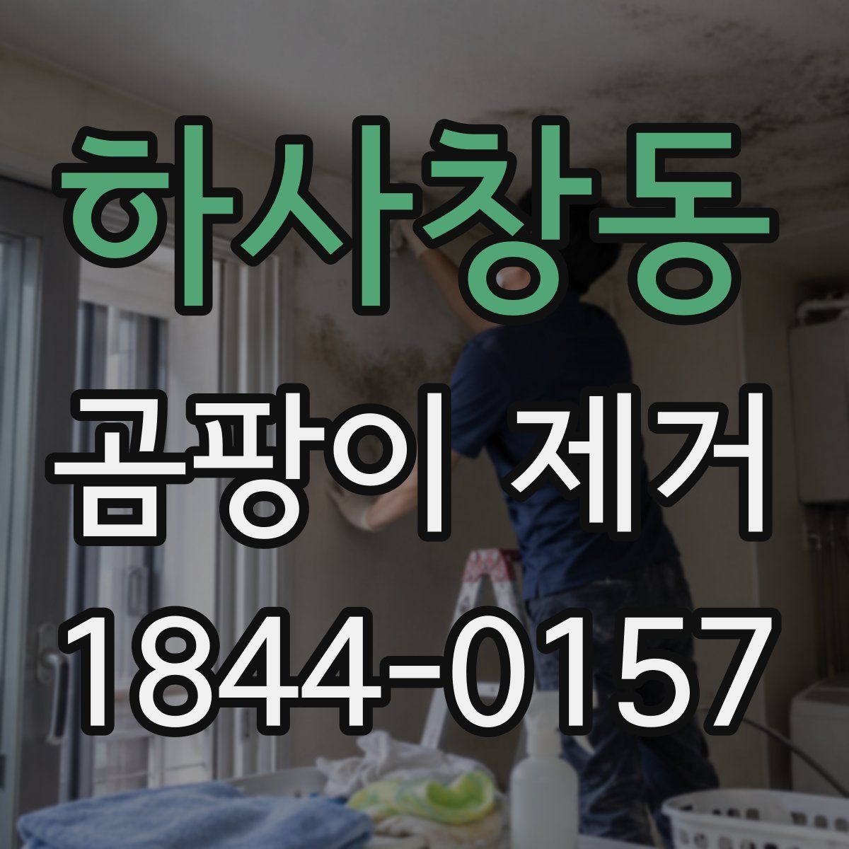하사창동 곰팡이 제거