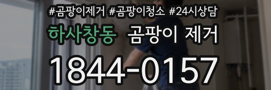 하사창동 곰팡이 제거