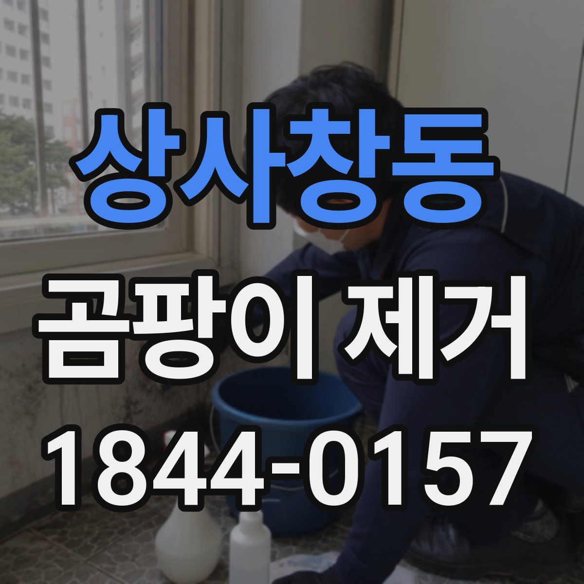 상사창동 곰팡이 제거