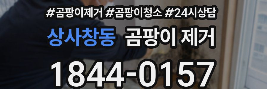 상사창동 곰팡이 제거