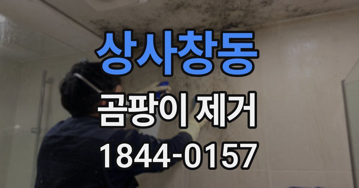 상사창동 곰팡이 제거
