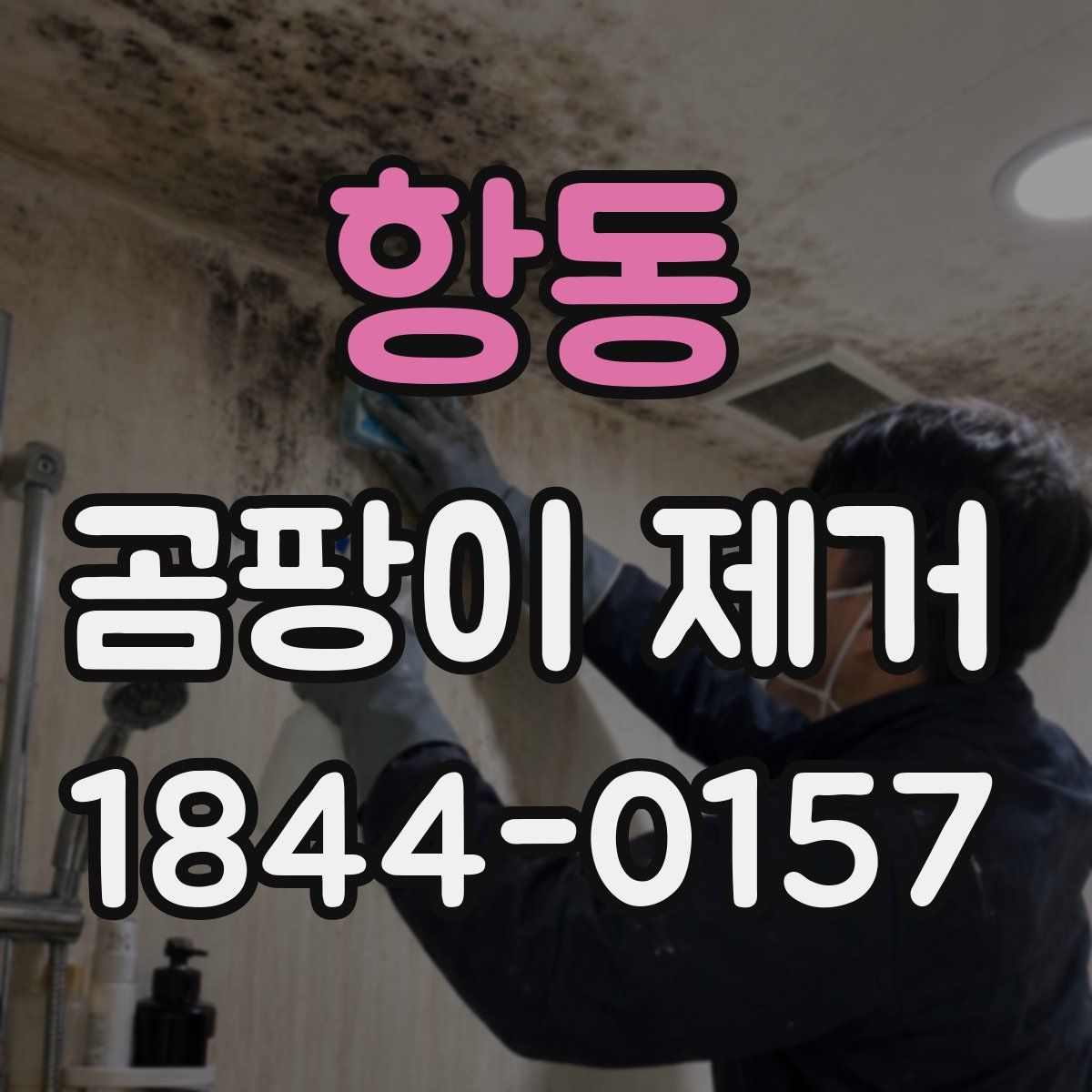 항동 곰팡이 제거