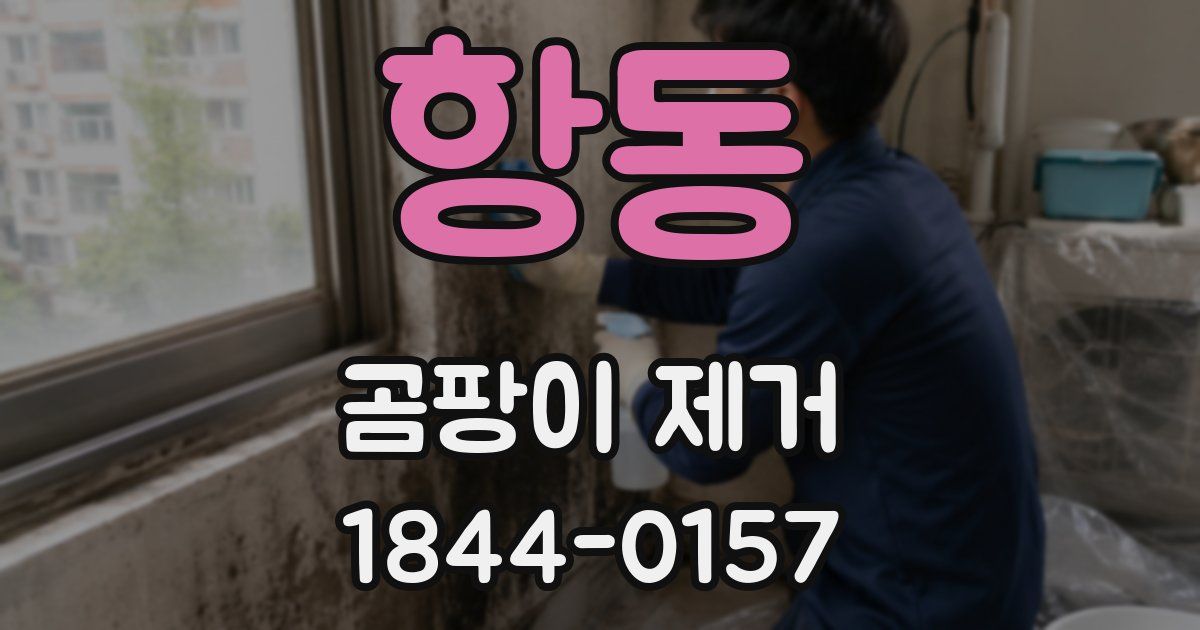 항동 곰팡이 제거