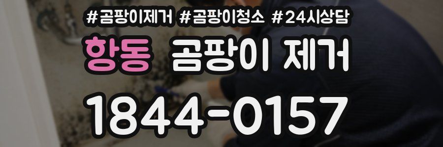 항동 곰팡이 제거