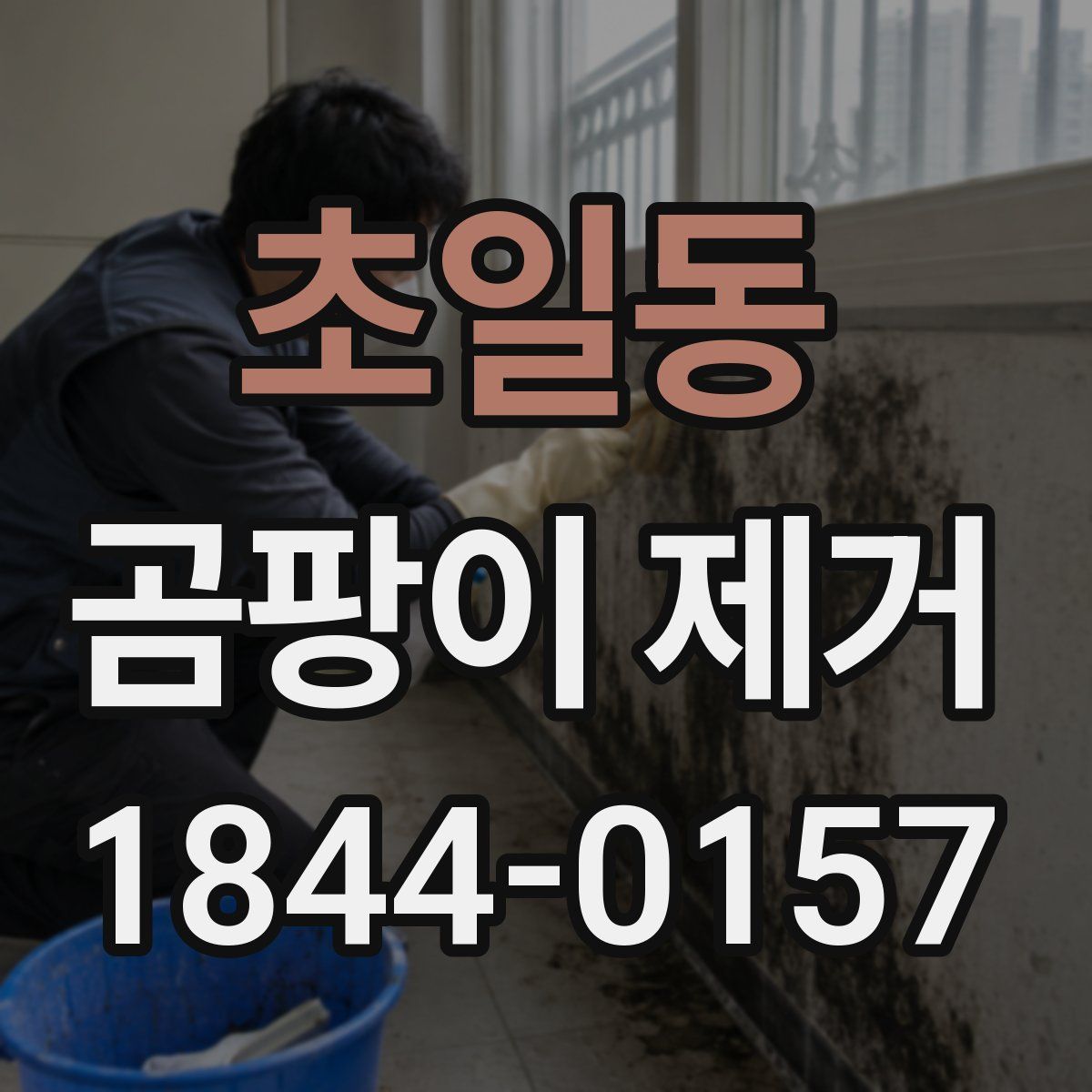 초일동 곰팡이 제거